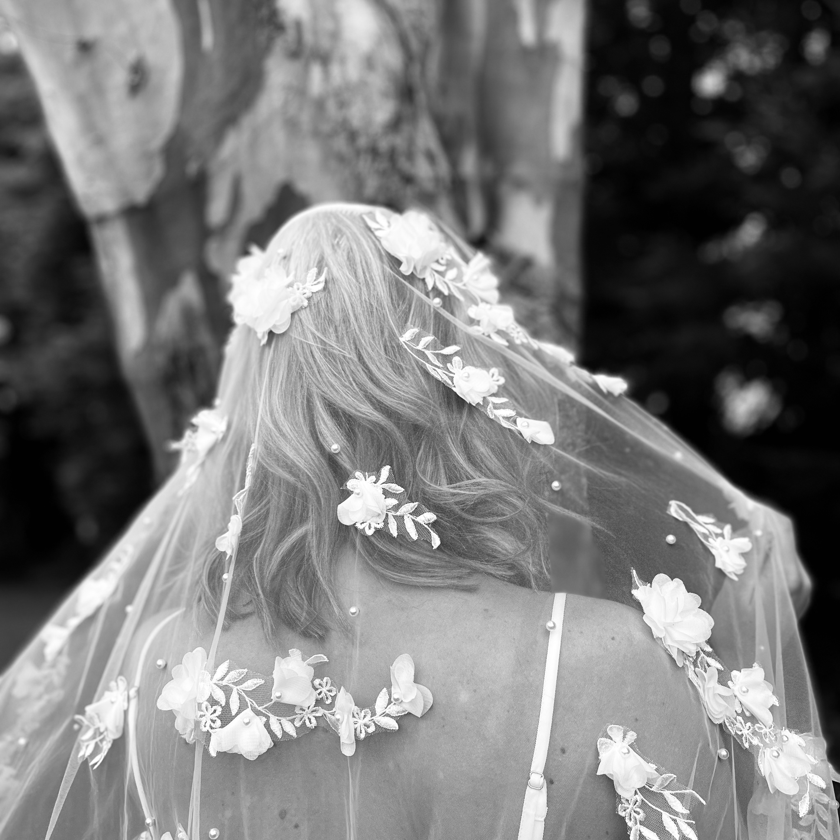 Poem Veil image 0